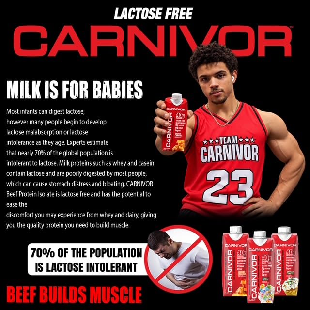 MuscleMeds Carnivor RTD, Ready to Drink Protein, Lactose Free, Sugar Free, 40g Isolate Protein, Muscle Building, Recovery, Chocolate, 16.9 Fl Oz (Pack of 12)